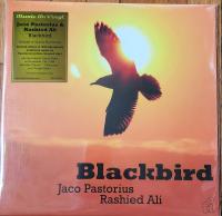 Виниловая пластинка JACO PASTORIUS & ALI RASHIED / Blackbird (Translucent Yellow) (1LP)