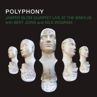 Виниловая пластинка JASPER BLOM / POLYPHONY (2LP)