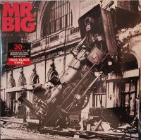 Виниловая пластинка Mr. Big / Lean Into It (1LP)