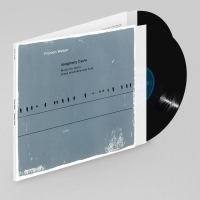 Виниловая пластинка Florian Weber / Imaginary Cycle (Music For Piano, Brass Ensemble And Flute) (2LP)