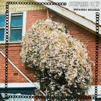 Виниловая пластинка Surprise Chef / Daylight Savings (1LP)