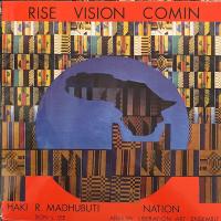Виниловая пластинка Haki R. Madhubuti / Rise Vision Comin (1LP)