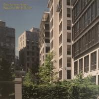 Виниловая пластинка Drei Farben House / Supreme Beats Series (1LP)