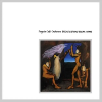 Виниловая пластинка Penguin Cafe Orchestra / Broadcasting From Home (White) (1LP) Виниловая пластинка Penguin Cafe Orchestra / Broadcasting From Home (White) (1LP)