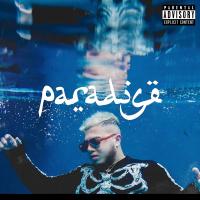 Виниловая пластинка Hamza / Paradise (2LP)