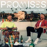 Виниловая пластинка CALVIN/SAM SMITH HARRIS / PROMISES -PD- (1LP)