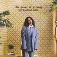 Виниловая пластинка Alessia Cara / Pains Of Growing (2LP)