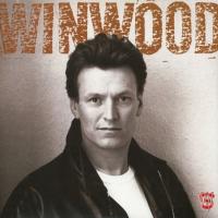 Виниловая пластинка Steve Winwood / Roll With It (LP)