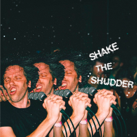 Виниловая пластинка !!! / Shake The Shudder (Transparent) (2LP)