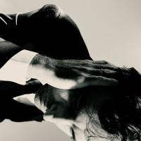 Виниловая пластинка Andrew Bird / Inside Problems (LP)