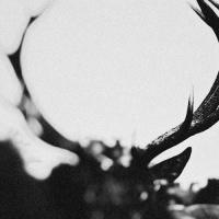 Виниловая пластинка Ihsahn / Ihsahn (orchestral) (2LP)