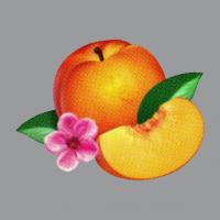 Виниловая пластинка Phoenix / Bankrupt! (LP)