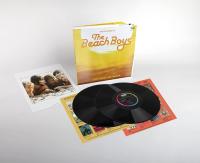 Виниловая пластинка Beach Boys / Sounds of Summer: the Very Best of (2LP)