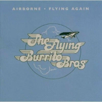 Компакт-диск The Flying Burrito Brothers / Airborne/ Flying Again (Jewel) (1CD)