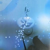 Виниловая пластинка BJORK / JOGA (2LP)