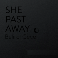 Виниловая пластинка She Past Away / Belirdi Gece (White Limited) (1LP)