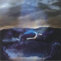 Виниловая пластинка Caterina Barbieri / Spirit exit (2LP)