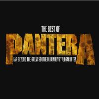 Компакт-диск Pantera / The Best Of Pantera: Far Beyond The Great Southern Cowboys Vulgar Hits! (CD+DVD)