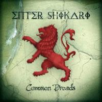Виниловая пластинка Enter Shikari / Common Dreads (LP)