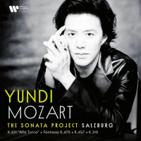 Виниловая пластинка Yundi / Mozart: The Sonata Project - Salzburg (2LP)