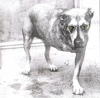 Компакт-диск Alice In Chains / Alice In Chains (1CD)