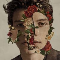 Виниловая пластинка Shawn Mendes / Shawn Mendes (LP)