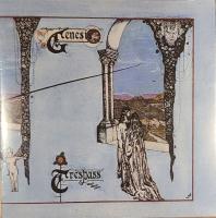 Виниловая пластинка Genesis / Trespass (Black Vinyl) (1LP)