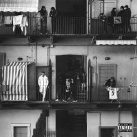 Виниловая пластинка Rhove / Popolari (1LP)