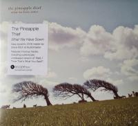 Компакт-диск The Pineapple Thief / What We Have Sown (Digipack) (1CD)