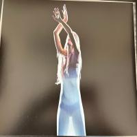 Виниловая пластинка Kelly Moran / Don't trust mirrors (1LP)