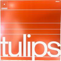 Виниловая пластинка Maston / Tulips (45 RPM) (1LP)