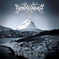 Виниловая пластинка Borknagar / True North (2LP)
