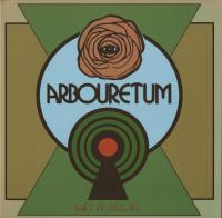 Виниловая пластинка Arbouretum / Let It All In (1LP)