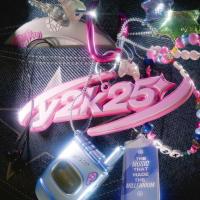 Виниловая пластинка Various Artists / Y2K25: The Music That Made The Millennium (1LP)