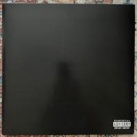 Виниловая пластинка Vince Staples / Dark times (LP)