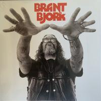 Виниловая пластинка BJORK BRANT BRANT BJORK (LP)