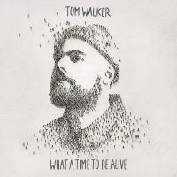 Виниловая пластинка Tom Walker / What A Time To Be Alive (Coloured Vinyl)(LP)