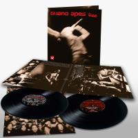 Виниловая пластинка Guano Apes / Live (2LP)