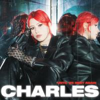 Виниловая пластинка Charles / Until We Meet Again (1LP)