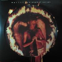 Виниловая пластинка Marillion / Afraid of Sunlight (picture) (2LP)