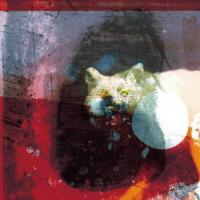 Виниловая пластинка Mogwai / As The Love Continues (2LP)