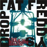 Виниловая пластинка Fat Freddy / Live At The Matterhorn (2LP)