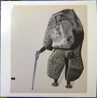 Виниловая пластинка Golden Retriever & Chuck Johnson / Rain Shadow (1LP)