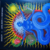 Виниловая пластинка DEWOLFF / LOVE, DEATH & IN BETWEEN - RED VINYL (2LP)