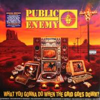 Виниловая пластинка Public Enemy / What You Gonna Do When The Grid Goes Down (LP)
