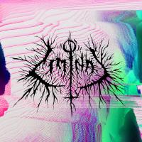 Виниловая пластинка PETBRICK / LIMINAL - SPLATTER VINYL (1LP)