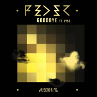 Виниловая пластинка Feder / Goodbye (Feat. Lyse) (coloured) (1LP)