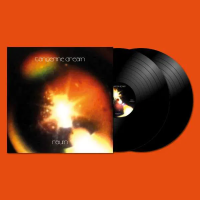 Виниловая пластинка Tangerine Dream / Raum (2LP)