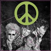 Компакт-диск The Flaming Lips / Scratching The Door: The First Recordings Of The Flaming Lips (CD)