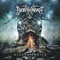 Компакт-диск Borknagar / Winter Thrice (CD)